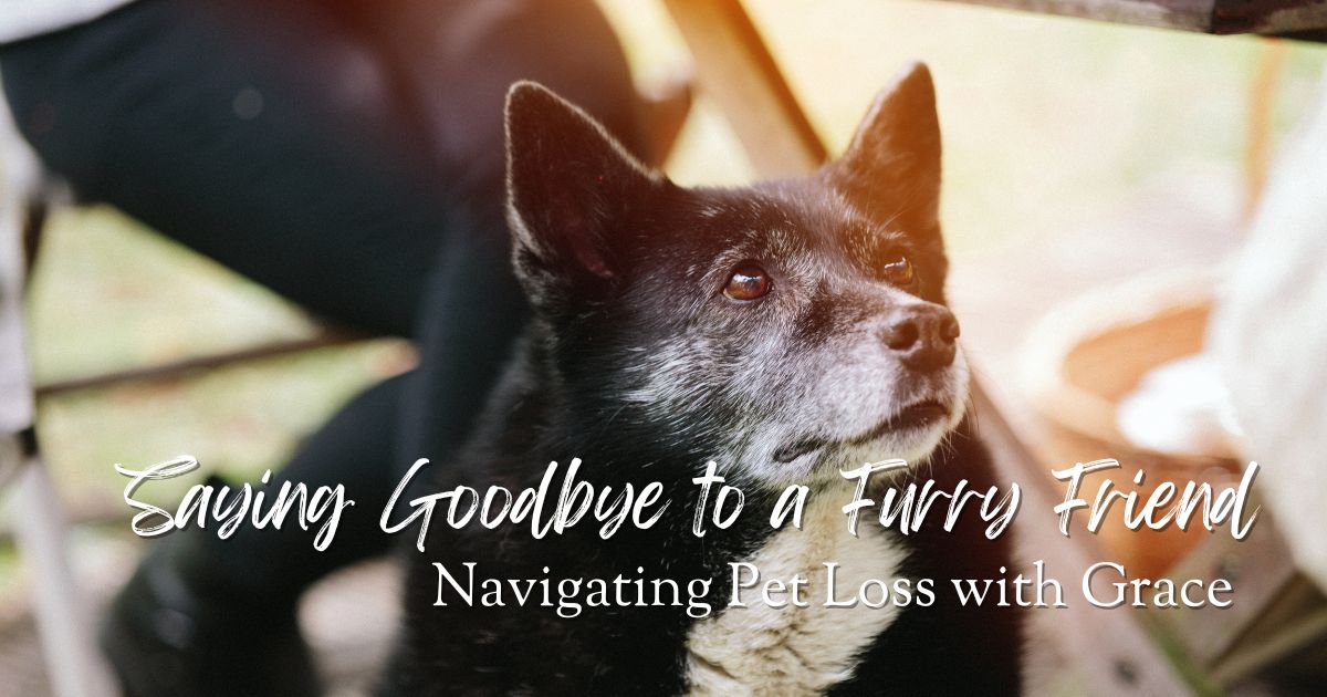 Saying Goodbye to a Furry Friend: Navigating Pet Loss with Grace